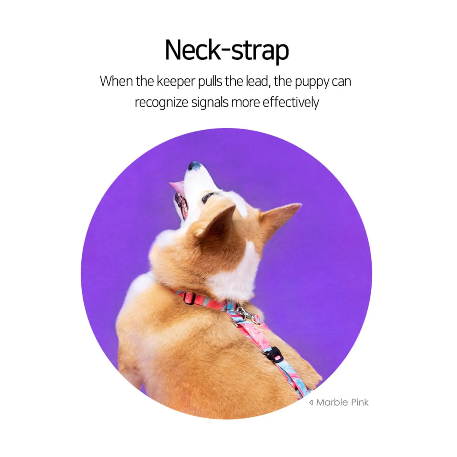 Adjustable No-Pull Dog Harness, Double-Lined Straps L Neon-Pink