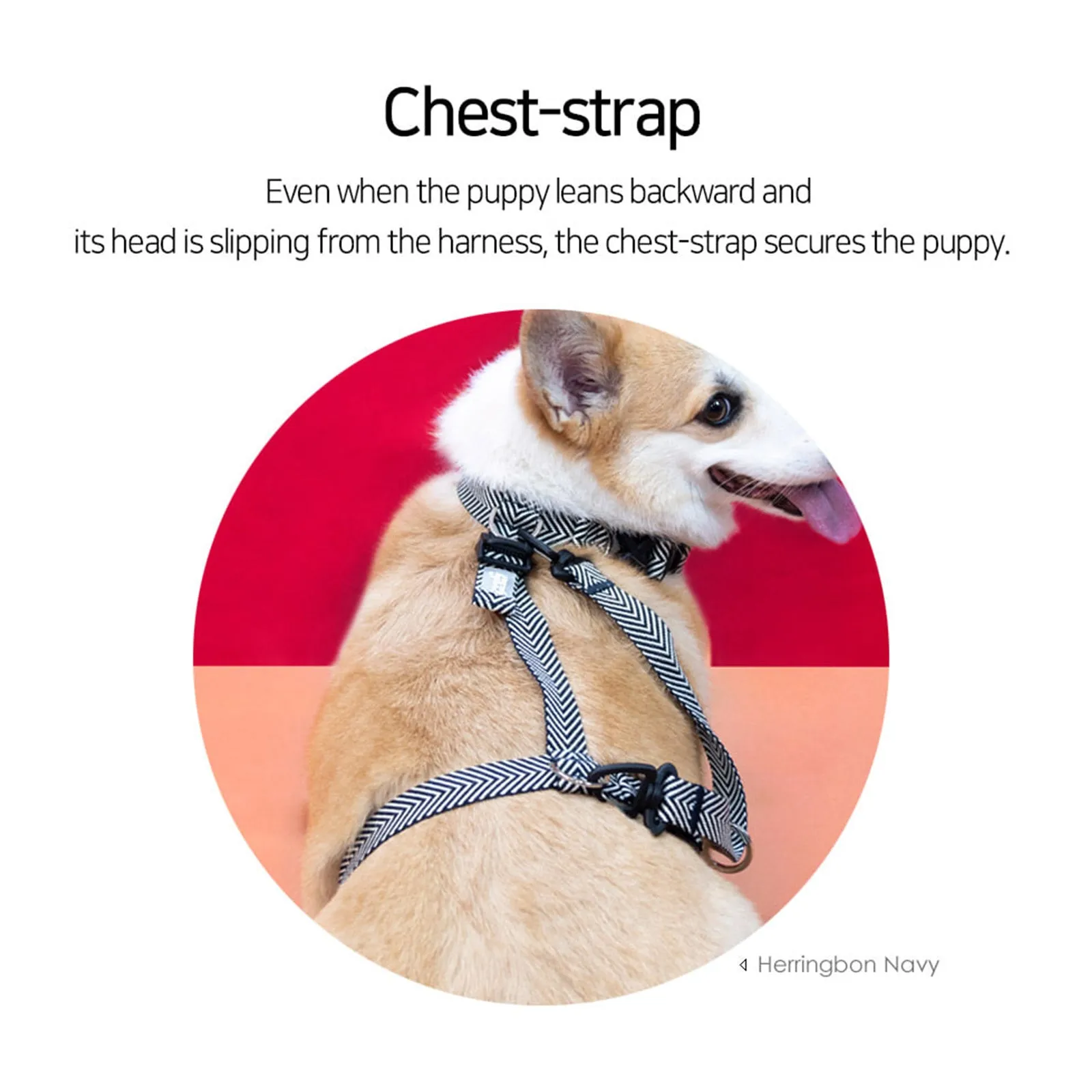 Adjustable No-Pull Dog Harness, Double-Lined Straps L Neon-Pink