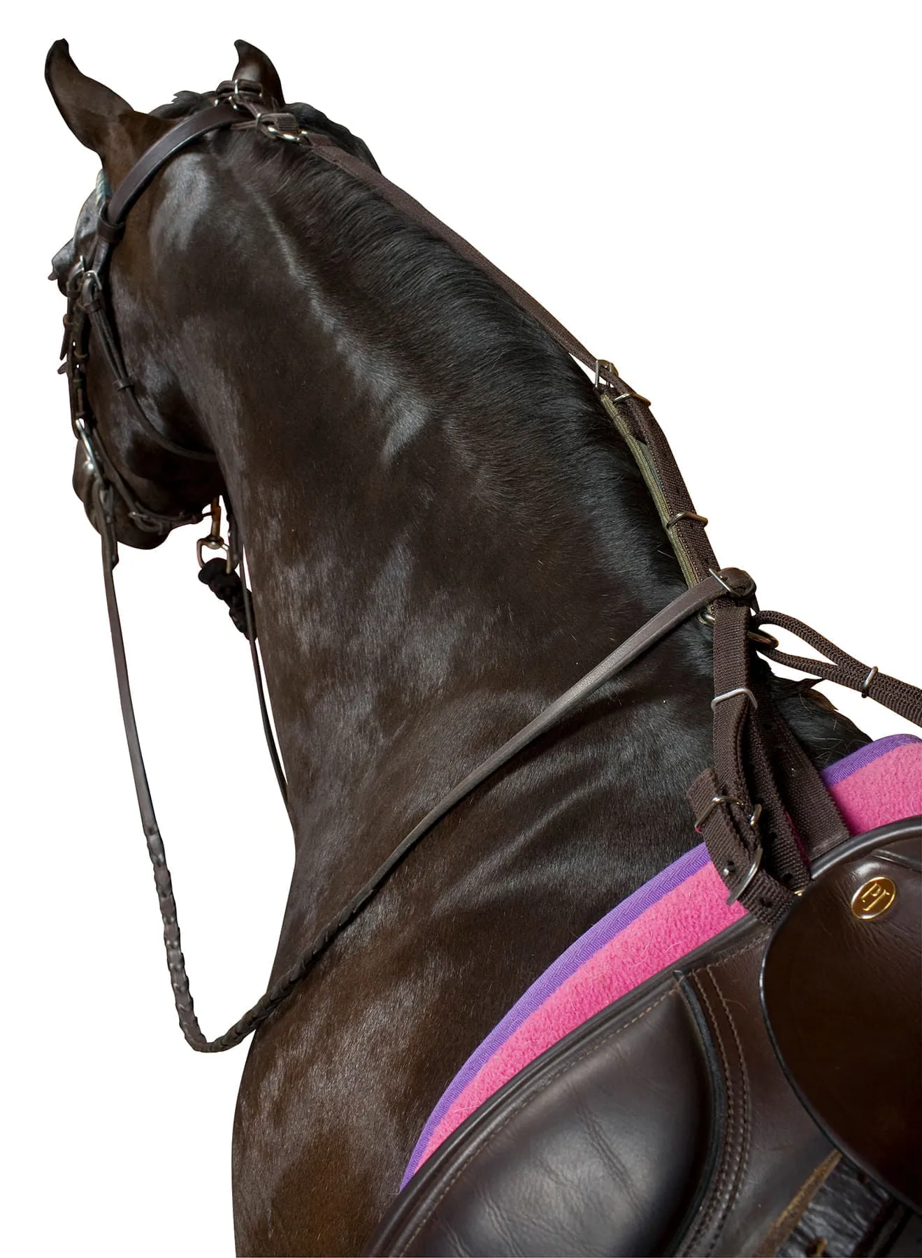 Anti-Grazing Strap