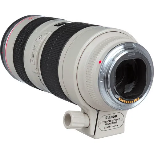 Canon EF 70-200mm f/2.8L USM Lens Bundle with Cleaning Kit, Filter Kits, and Padded Lens Case (International Model)