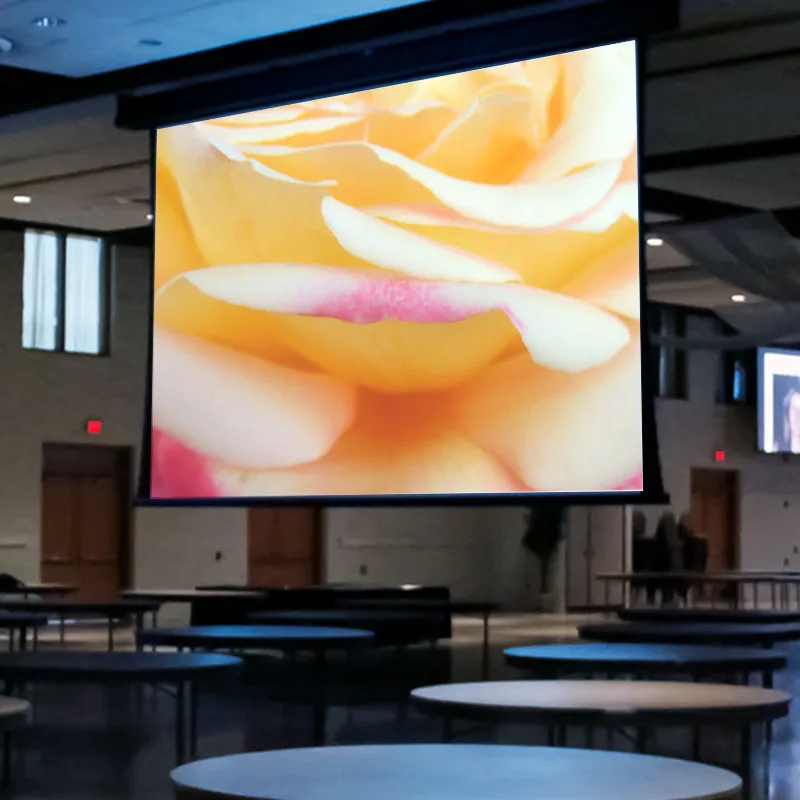 Draper Paragon V [16:10] Electric Retractable Projection Screen 335" (177" x 284") 114619CB