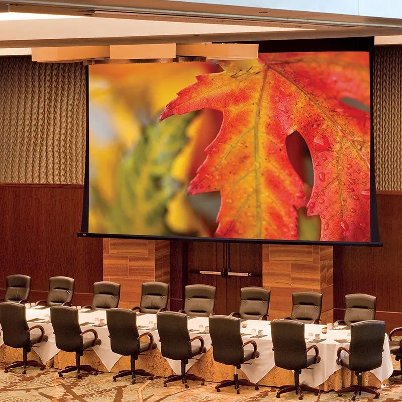 Draper Paragon V [16:10] Electric Retractable Projection Screen 335" (177" x 284") 114619CB