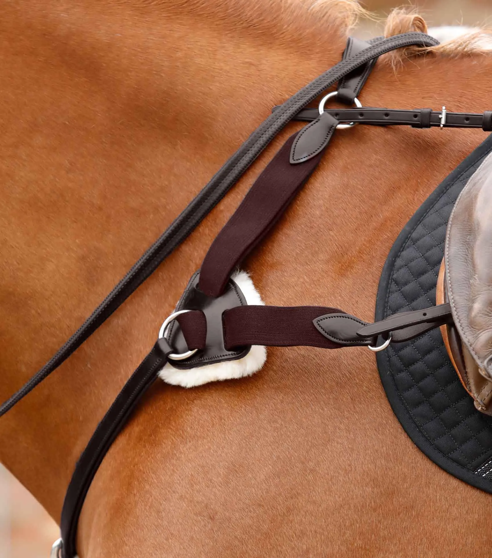 Invorio 5 Point Breastplate Brown