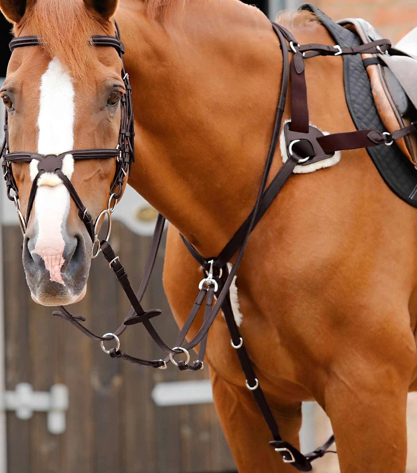 Invorio 5 Point Breastplate Brown