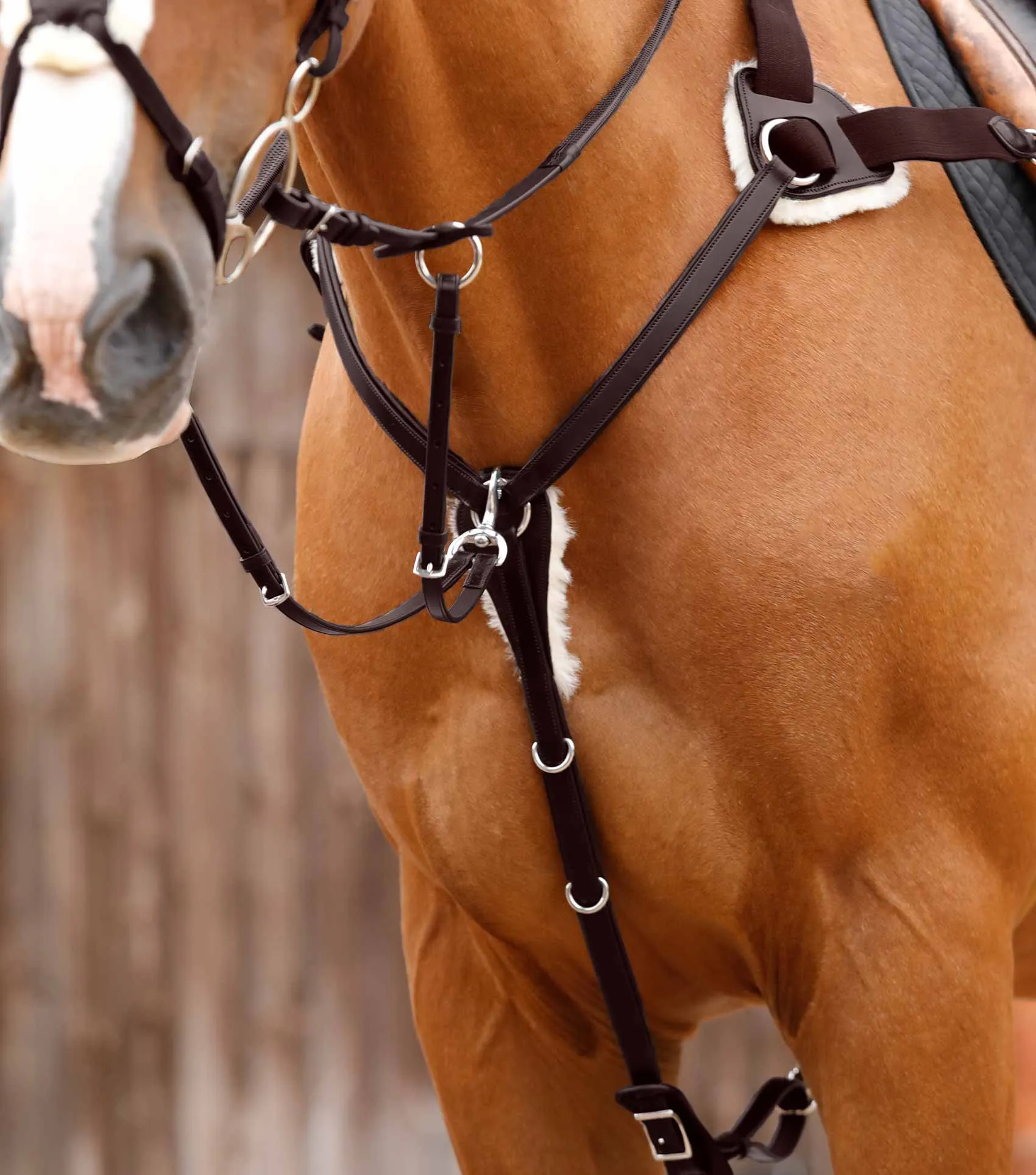 Invorio 5 Point Breastplate Brown