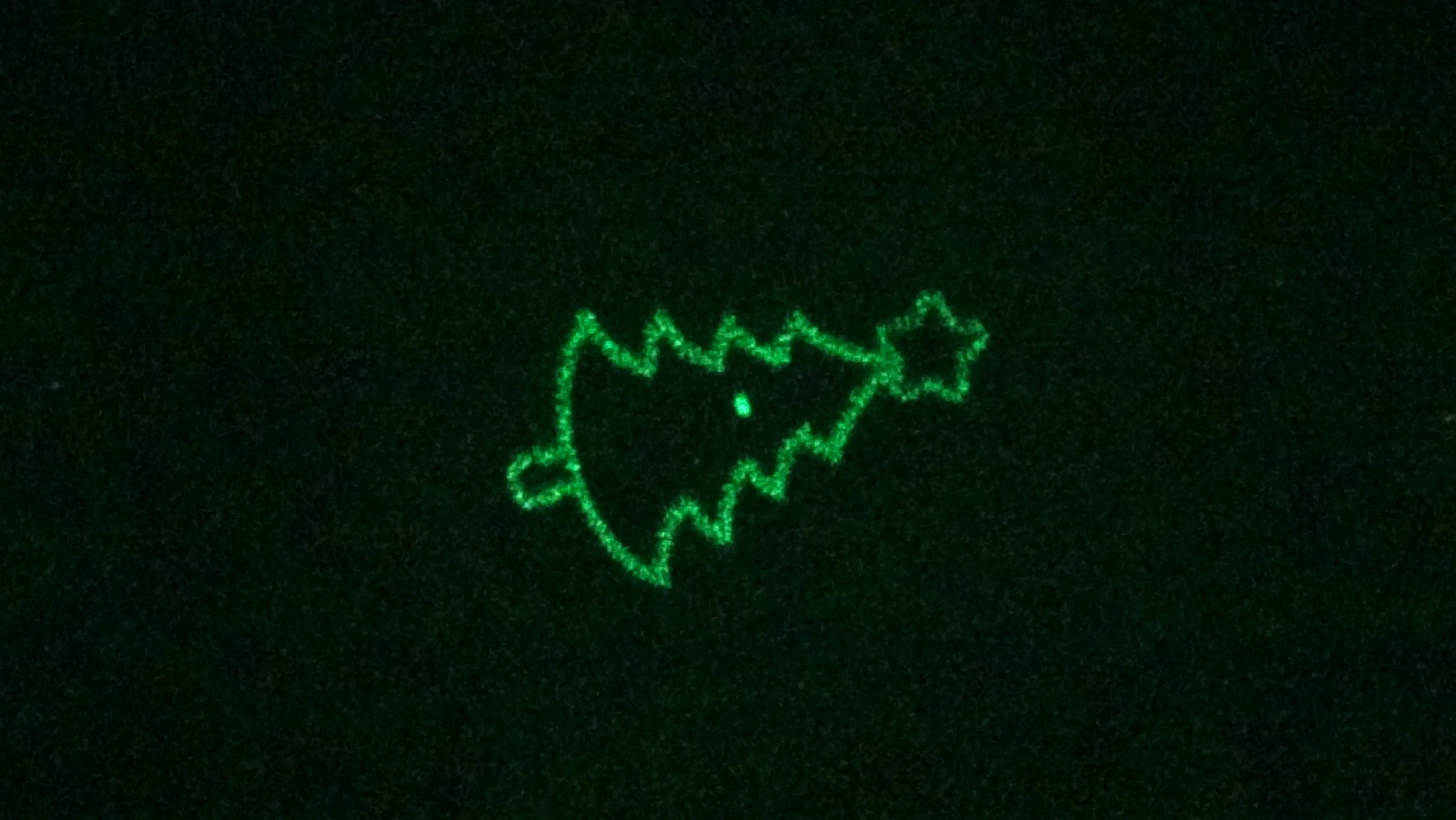 Red & Green Christmas Collage™ Laser Projector