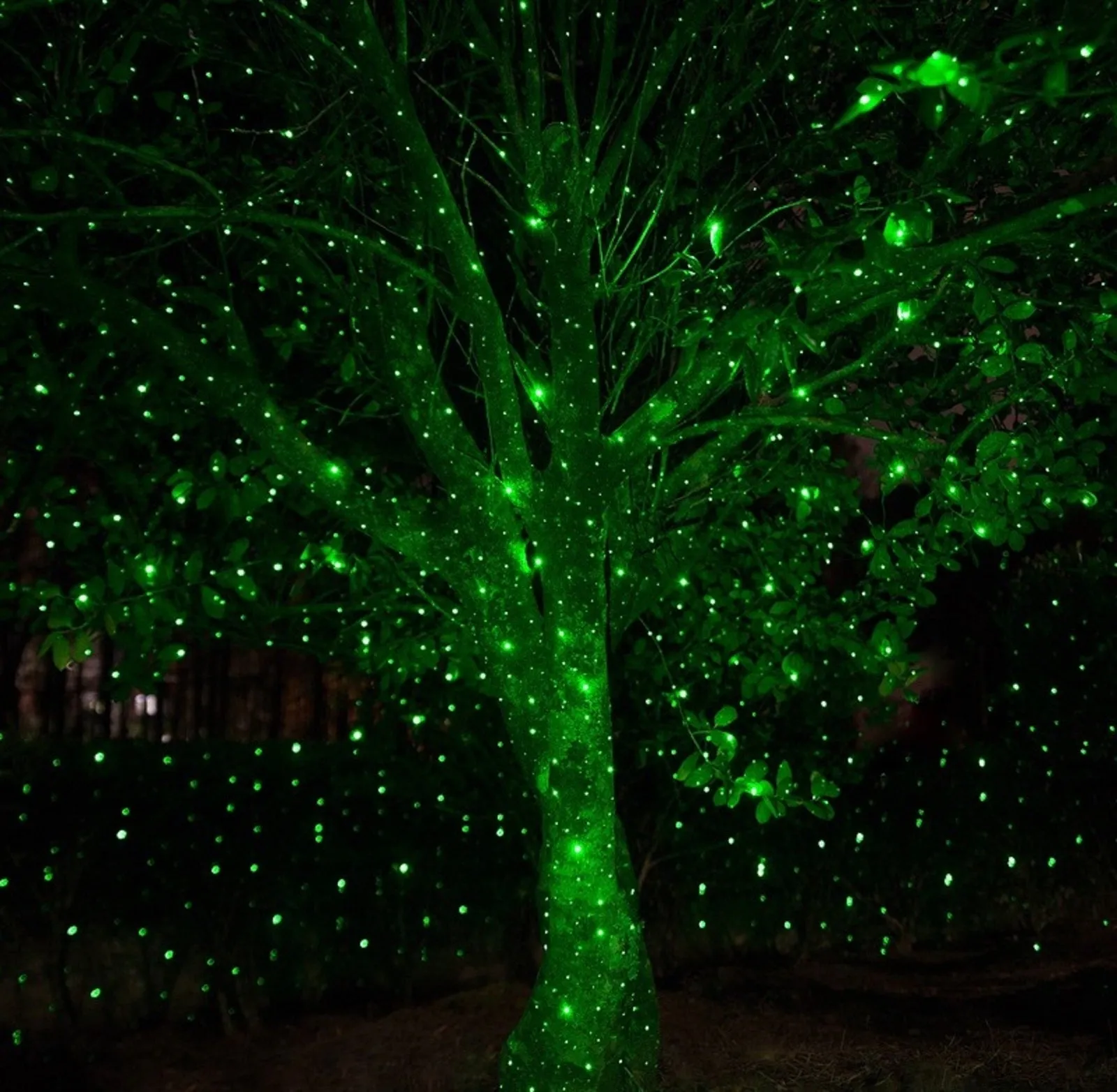 Red & Green Classic™ Laser Projector -Standard Edition