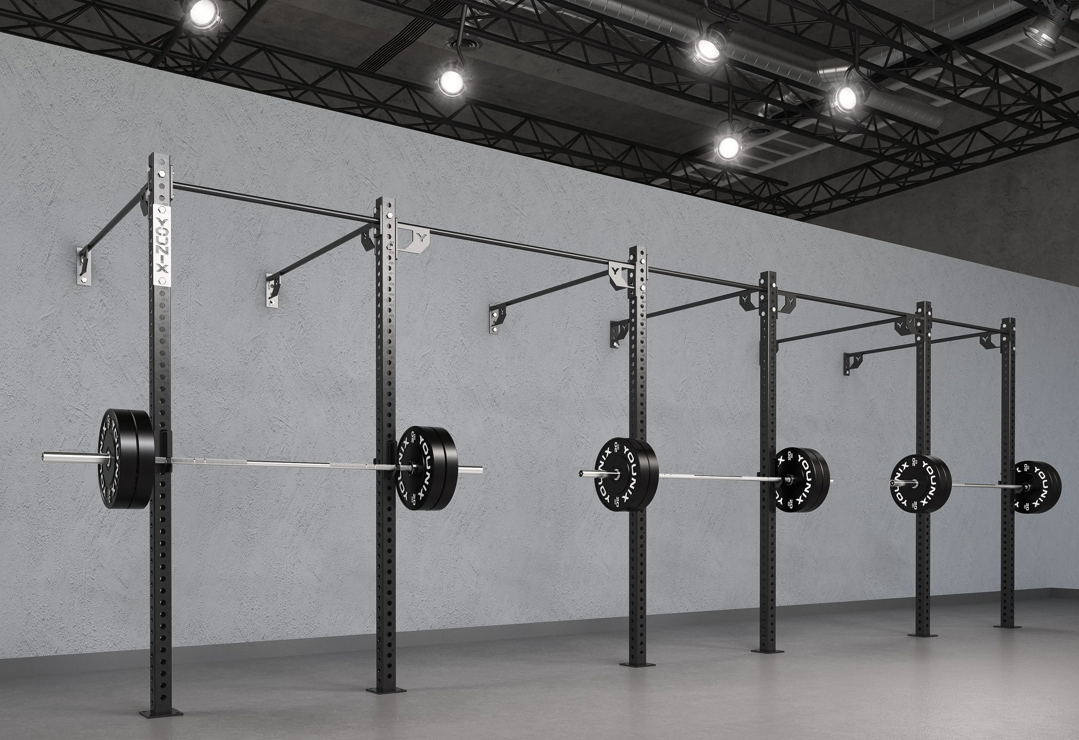 Wall Mounted Basic Rigs
